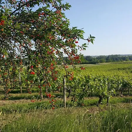 L'atre De L'abeilloire * Chabournay