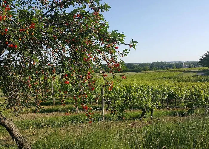 L'atre De L'abeilloire * Chabournay